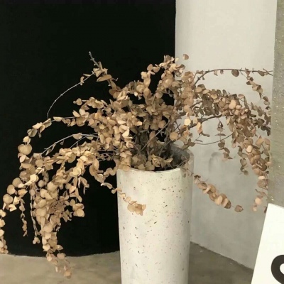 河南FurryQQ群介绍